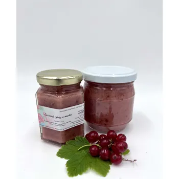 Včelařství Thomayer Rybíz v medu netto: 45g