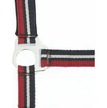 Vybavení pro koně Ohlávka s vodítkem NORTON "BRILLANT" Červená COB