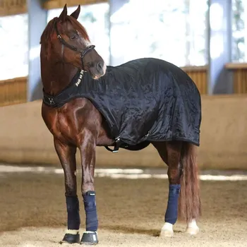 Vybavení pro koně Deka do kolotoče Back on Track 155