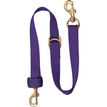 Tie Down WEAVER Deluxe Nylon Fialová