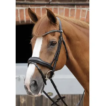 Kožená uzdečka Premier Equine Stellazio Anatomic Černá COB