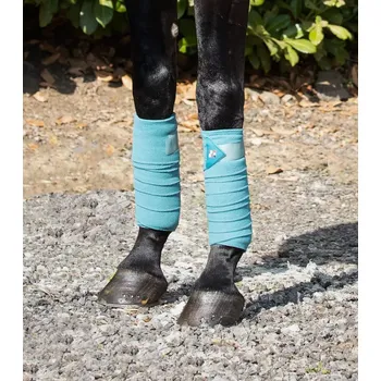 Ochrana nohy a ocasu Bandáže Premier Equine Tyrkysová