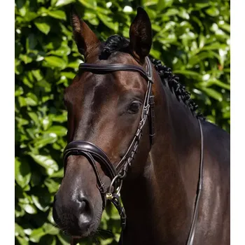 Uzdečka Premier Equine Cassano Černá FULL