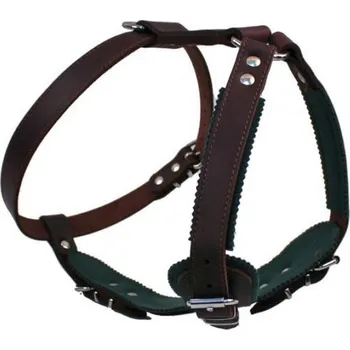 Postroj pro psa PROFIZOO Kožený postroj JAGO č.1 (25 mm x OK 48-69 cm, OH 68-81cm) hnědá