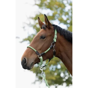 Jezdectví Ohlávka HKM Carlotta Zelená PONY