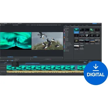 Grafický software MAGIX Video Pro X 17 (Digitální produkt)
