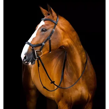 Uzdečka Horseware Micklem 2 Deluxe Competition, s otěžemi Hnědá Standard Horse