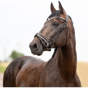 Kožená uzdečka Horze Grayson Černá/bílá COB