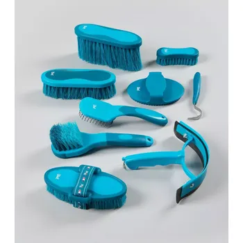 Čištění pro koně Sada čištění na koně Premier Equine Deluxe Tyrkysová