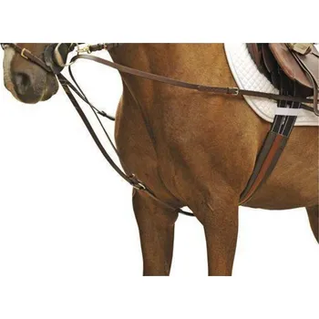 Lonžovací průvlečka HKM s nerez kováním PONY