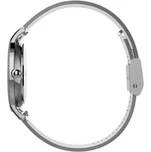 Hodinky Timex City TW2V52400 Stříbrná OS