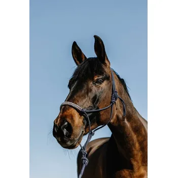 Provazová ohlávka s vodítkem NORTON Deco Zelená/béžová FULL