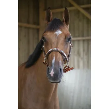 Ohlávka pro koně PENELOPE PEARL koňak FULL