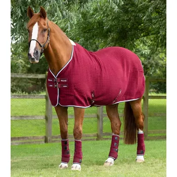 Deka pro koně Odpocovací deka Premier Equine PremTex Modrá 5,9" (125cm)
