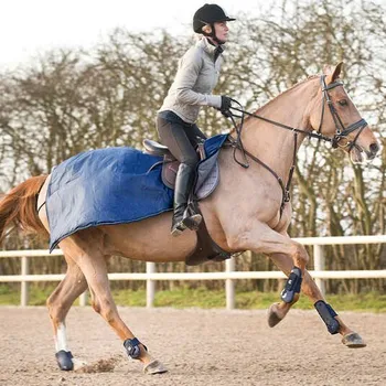 Deka pro koně Bederní deka Horze Avalanche, 250g 135 cm