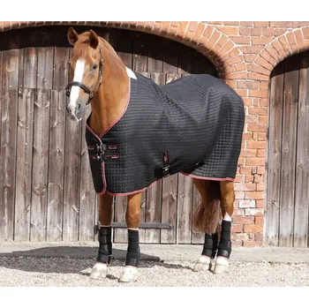 Deka pro koně Víceúčelová deka pro koně Premier Equine Dry-Tech Černá 5,6" (120cm)