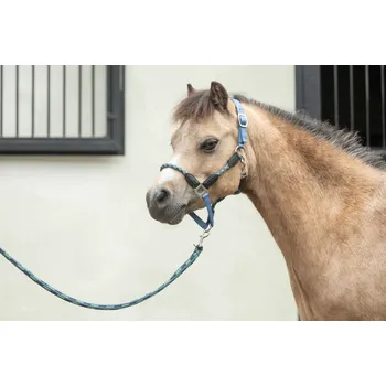 Vybavení pro koně Ohlávka HKM -Nele- Růžová SHETLAND