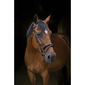 Anatomicky tvarovaná uzdečka ERIC THOMAS PRO "WAVE" Černá COB