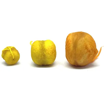 Boilies Golden Carp Rohlíkové Boilies 19mm 18ks Příchuť: Halibut