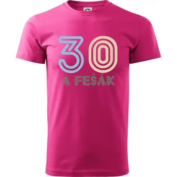 Pánská móda 30 a fešák - Klasické pánské triko vyšší gramáže - 2XL ( Purpurová )