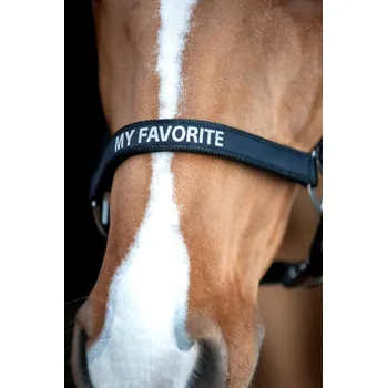 Ohlávka HorseGuard Malva Černá COB