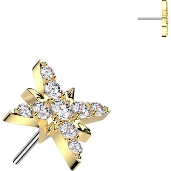 Piercing Atreya Titanová bezzávitová koncovka Zirkonová hvězda Barva: Zlatá