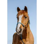 Provazová ohlávka s vodítkem NORTON Suède Navy FULL