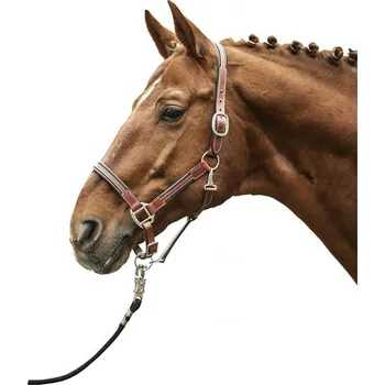 Vybavení pro koně Kožená stájová ohlávka HKM Soft Černá PONY