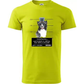 Pánské tričko Lump a darebák border kolie - Klasické pánské triko vyšší gramáže - XS ( Limetková )