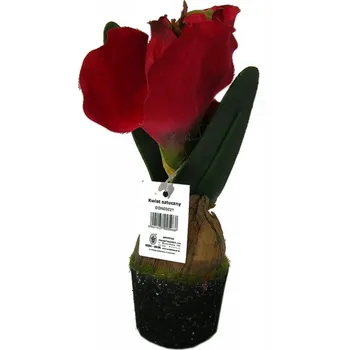 umělá květina PROJEKTDECOR AMARYLIS V CIBULCE ČERVENÝ