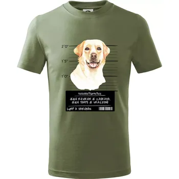 Lump a darebák labrador - Tričko dětské bavlněné - 146 cm/10 let ( Khaki )