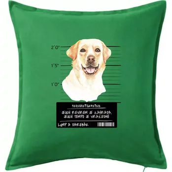Polštář Lump a darebák labrador - Polštář 50x50 - 50x50 - Včetně výplně ( Středně zelená )