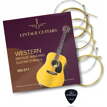 Strunný nástroj Lintage Guitars WS-011 struny pro akustickou kytaru western steel guitar