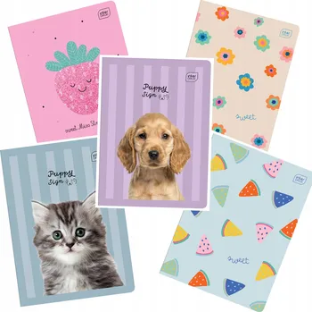 Sešit Sešit A5 s linkami Interdruk, 32 listů