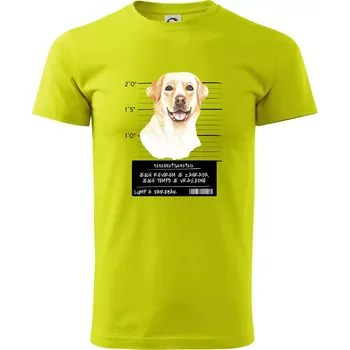 Lump a darebák labrador - Klasické pánské triko vyšší gramáže - S ( Limetková )