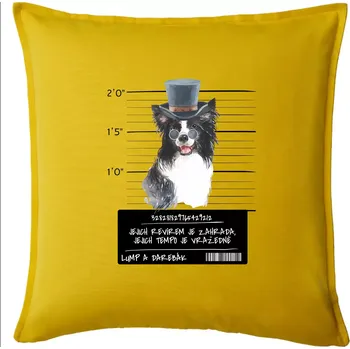 Polštář Lump a darebák border kolie - Polštář 50x50 - 50x50 - Pouze potah ( Žlutá )