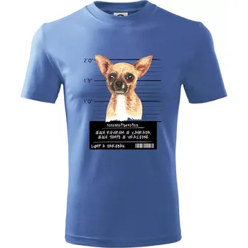 Chlapecké tričko Lump a darebák čivava - Tričko dětské bavlněné - 98 cm / 2 roky ( Azurově modrá )