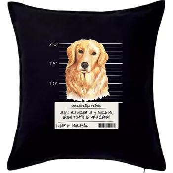 Polštář Lump a darebák zlatý retrívr - Polštář 50x50 - 50x50 - Pouze potah ( Černá )