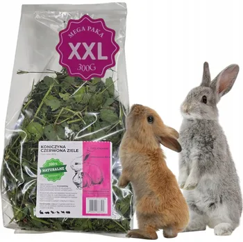 Krmivo pro hlodavce JETELOVÉ BYLINKY PRO KRÁLÍKA, KŘEČKA, HLODAVCE PŘÍRODNÍ BALENÍ XXL 300G