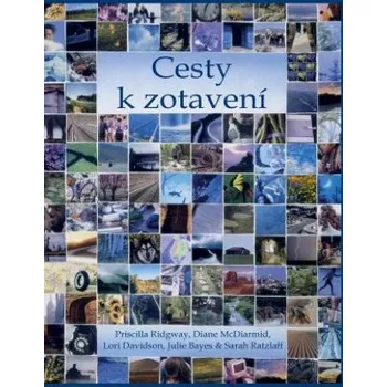 Populárně naučná literatura pro dospělé Cesty k zotavení (Lori Davidson,Diane McDiarmid,Priscilla Ridgway)(Brožovaná)