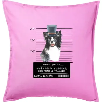 Polštář Lump a darebák border kolie - Polštář 50x50 - 50x50 - Pouze potah ( Růžová )