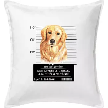 Polštář Lump a darebák zlatý retrívr - Polštář 50x50 - 50x50 - Pouze potah ( Bílá )