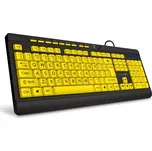 CONNECT IT FOR HEALTH CONTRAST