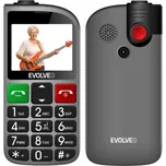 EVOLVEO EasyPhone FL