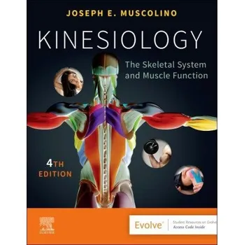 Kinesiology (Joseph E. Muscolino)(Brožovaná)