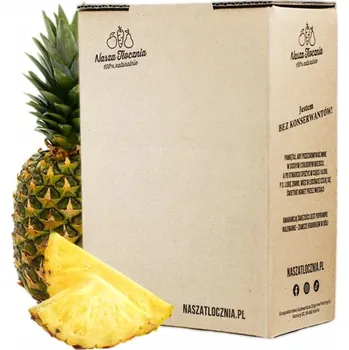100% Ananasová šťáva Nasza Tłocznia 3000 ml bez přidaného cukru