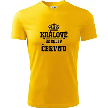 Pánské tričko Králové se rodí v červnu - Pánské triko Fantasy sportovní (dresovina) - 3XL ( Žlutá )