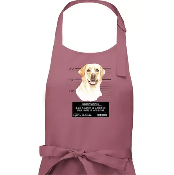 Kuchyňská zástěra Lump a darebák labrador - Pánská zástěra na vaření - Univerzální velikost ( Starorůžová )