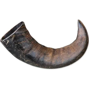 Pamlsek pro kočku Pochoutka Trixie roh buvolí žvýkací