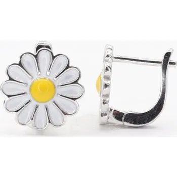 Náušnice Stříbrné náušnice s klasickým zapínáním